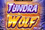 Fire Blaze Golden: Tundra Wolf slot demo